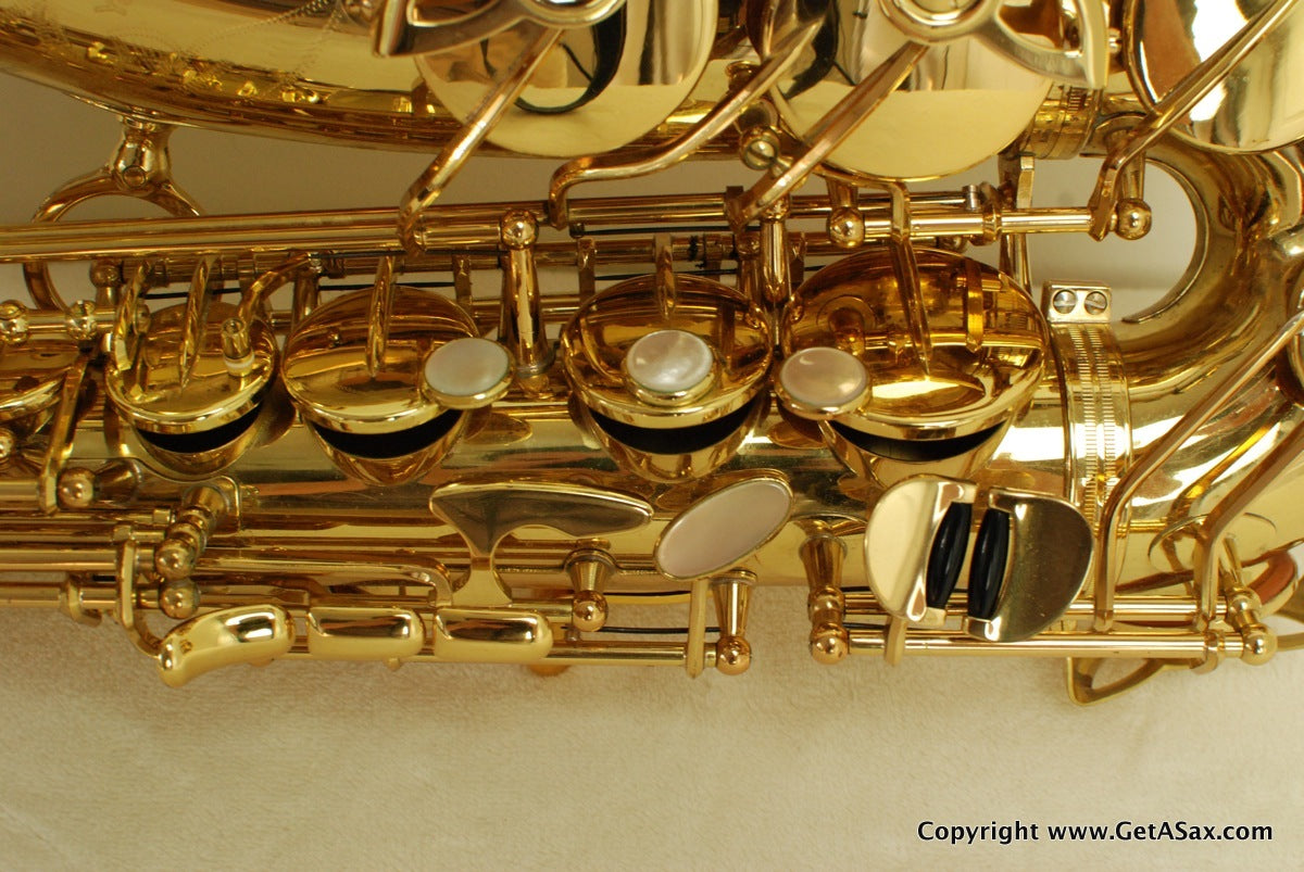 Yanagisawa A-991 Alto Saxophone