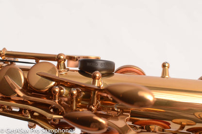 Yamaha / Ishimori Woodstone 82ZWS 2 Custom Necks Alto Saxophone D76004