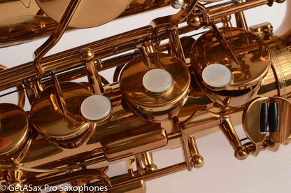 Yamaha / Ishimori Woodstone 82ZWS 2 Custom Necks Alto Saxophone D76004