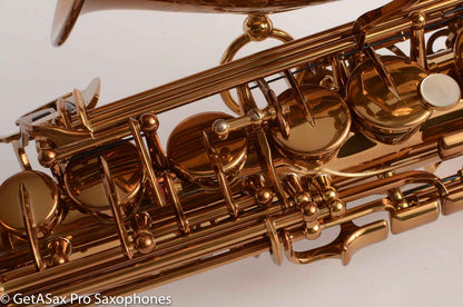 Yamaha / Ishimori Woodstone 82ZWS 2 Custom Necks Alto Saxophone D76004