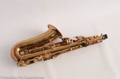 Yamaha / Ishimori Woodstone 82ZWS 2 Custom Necks Alto Saxophone D76004