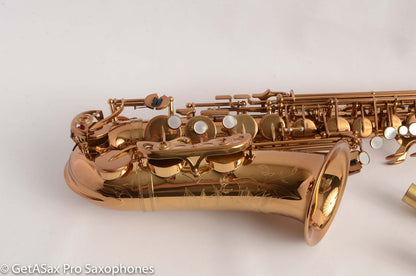 Yamaha / Ishimori Woodstone 82ZWS 2 Custom Necks Alto Saxophone D76004