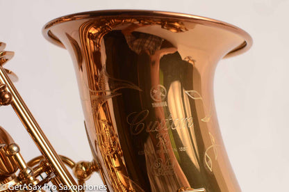 Yamaha / Ishimori Woodstone 82ZWS 2 Custom Necks Alto Saxophone D76004