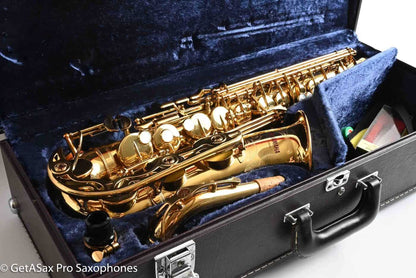 Yamaha YAS-62 Purple Logo Alto Excellent and Freshly Overhauled 11959