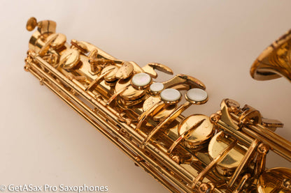 Yamaha YAS-62 Purple Logo Alto Fresh Overhaul