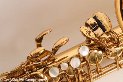 Yamaha YAS-62 Purple Logo Alto Fresh Overhaul