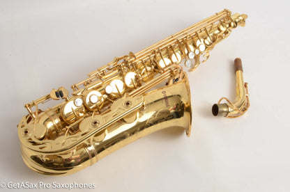 Yamaha YAS-62 Purple Logo Alto Fresh Overhaul Exceptional 27597