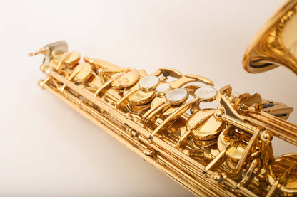 Yamaha YAS-875 Custom Alto Professional – Fresh Overhaul!