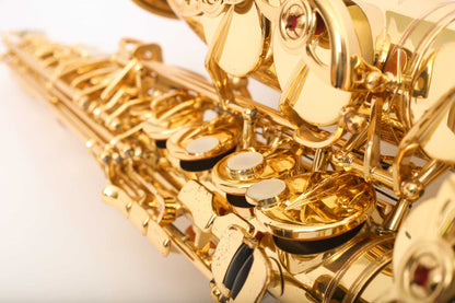 Yamaha YAS-875 Custom Alto Professional – Fresh Overhaul!