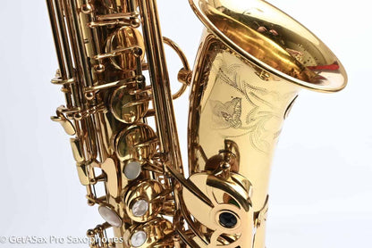 Yanagisawa A880 Professional Alto Fresh Overhaul My Favorite!