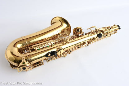 Yanagisawa A880 Professional Alto Fresh Overhaul My Favorite!