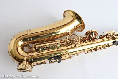 Yanagisawa A880 Professional Alto Fresh Overhaul My Favorite!