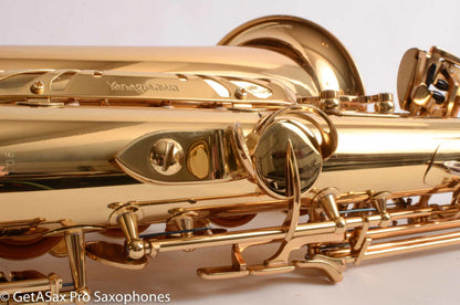 Yanagisawa A901 Alto Saxophone Beautiful Condition 259808