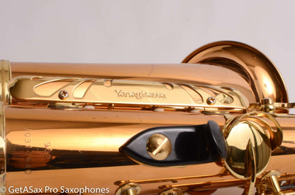 Yanagisawa A902 Solid Bronze Professional Alto Excellent Condition 313640
