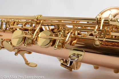Yanagisawa AWO20 Solid Bronze Professional Alto Near Mint 399172