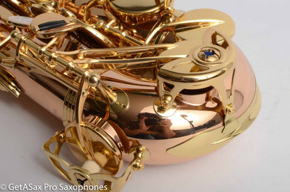 Yanagisawa AWO20 Solid Bronze Professional Alto Near Mint 399172