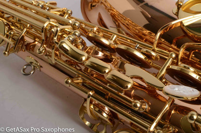 Yanagisawa AWO20 Solid Bronze Professional Alto Near Mint 399172