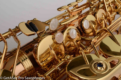 Yanagisawa AWO20 Solid Bronze Professional Alto Near Mint 399172