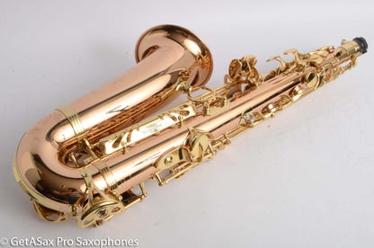 Yanagisawa AWO20 Solid Bronze Professional Alto Near Mint 399172