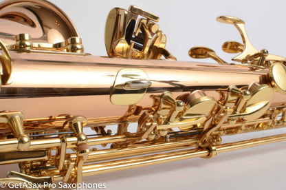 Yanagisawa AWO20 Solid Bronze Professional Alto Near Mint 399172