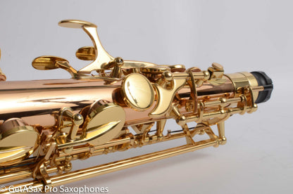 Yanagisawa AWO20 Solid Bronze Professional Alto Near Mint 399172