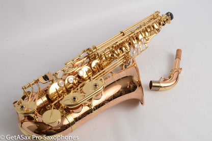 Yanagisawa AWO20 Solid Bronze Professional Alto Near Mint 399172