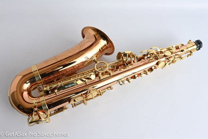Yanagisawa AWO2 Professional Solid Bronze Alto Saxophone Near Mint