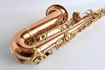Yanagisawa AWO2 Professional Solid Bronze Alto Saxophone Near Mint