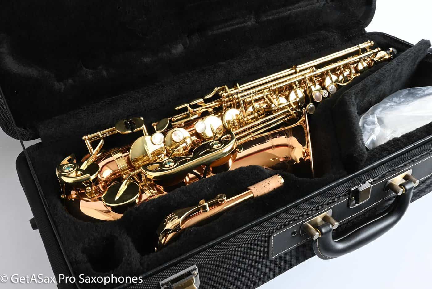 Yanagisawa AWO2 Professional Solid Bronze Alto Saxophone Near Mint