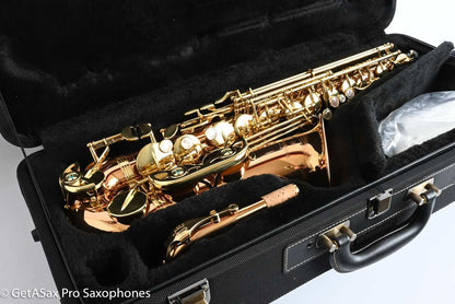 Yanagisawa AWO2 Professional Solid Bronze Alto Saxophone Near Mint