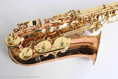Yanagisawa AWO2 Professional Solid Bronze Alto Saxophone Near Mint