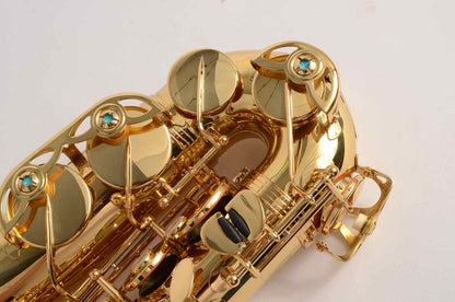 Yanagisawa Professional Alto WO1 Model Like New, Excellent Deal!
