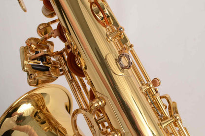 Yanagisawa Professional Alto WO1 Model Like New, Excellent Deal!