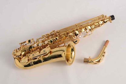 Yanagisawa Professional Alto WO1 Model Like New, Excellent Deal!