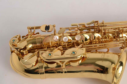 Yanagisawa Professional Alto WO1 Model Like New, Excellent Deal!