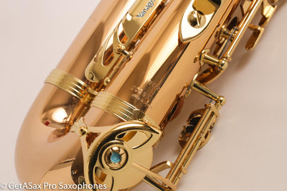 Yanagisawa AWO2 Solid Bronze Alto Saxophone Brand New + Setup! A902