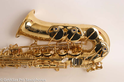 Yanagisawa AWO10 Elite Professional Alto Saxophone Brand New Fantastic Deal! A991