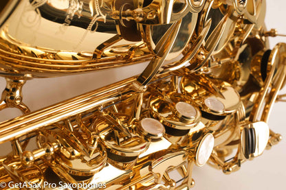 Yanagisawa AWO10 Elite Professional Alto Saxophone Brand New Fantastic Deal! A991