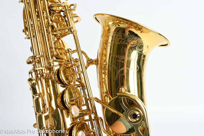 Yanagisawa AWO10 Alto Elite Professional Near Mint 352108