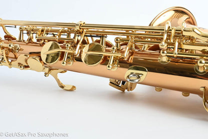 Yanagisawa AWO2 Alto Professional Solid Bronze Near Mint 403370