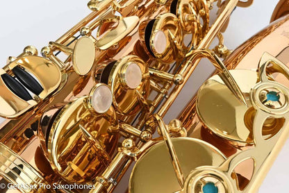 Yanagisawa AWO2 Alto Professional Solid Bronze Near Mint 403370