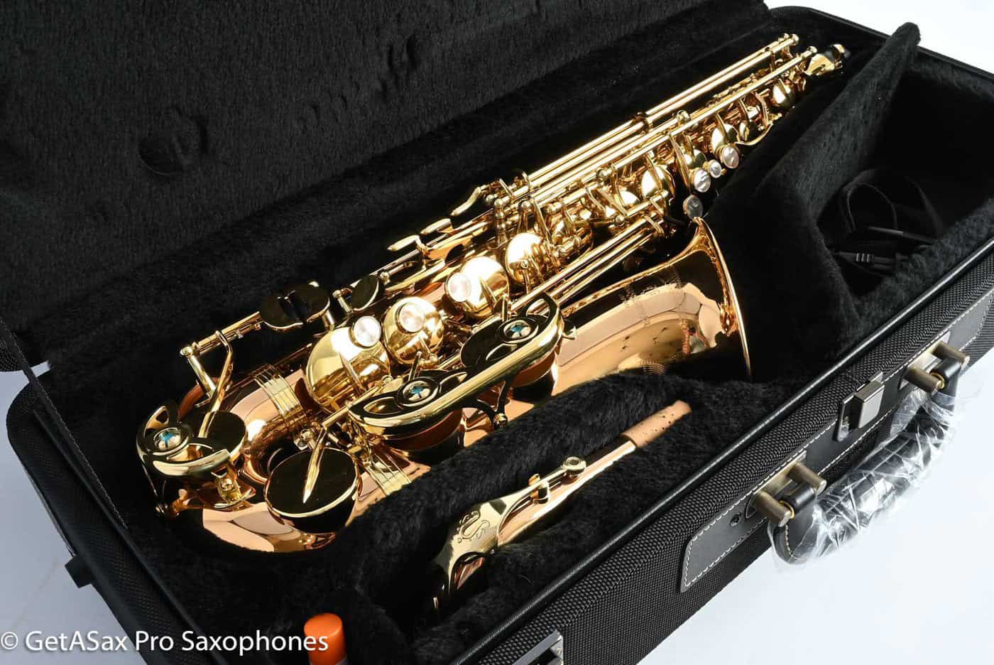 Yanagisawa AWO2 Alto Professional Solid Bronze Near Mint 403370