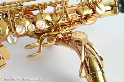 Yanagisawa AWO2 Alto Professional Solid Bronze Near Mint 403370