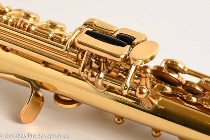Yanagisawa SN-800 Elimona Sopranino Rare Very Good Condition 174820