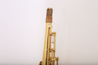 Yanagisawa S901 Soprano Saxophone Professional Near Mint 333029