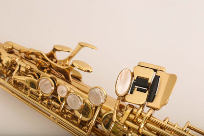 Yanagisawa S901 Soprano Saxophone Professional Near Mint 333029