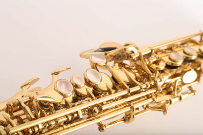 Yanagisawa S901 Soprano Saxophone Professional Near Mint 333029