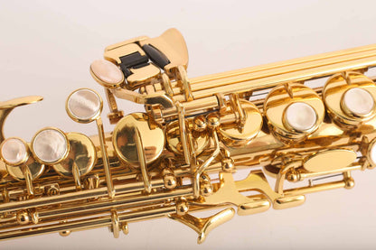 Yanagisawa S901 Soprano Saxophone Professional Near Mint 333029