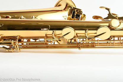 Yanagisawa TWO10 Elite Professional Tenor Near Mint 401848