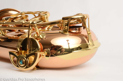 Yanagisawa TWO2 Solid Bronze Professional Tenor New + Setup